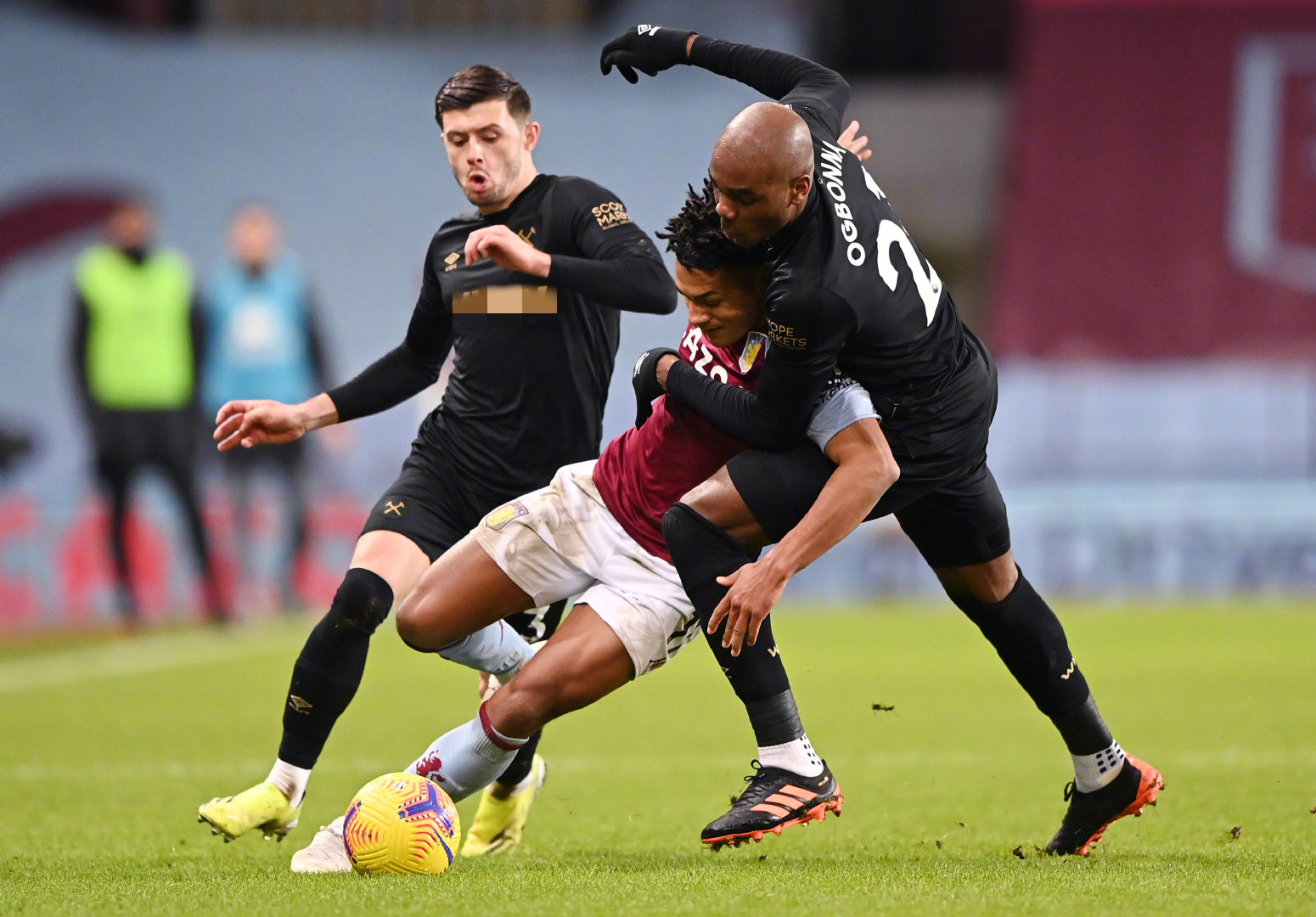 样性和互补 样性和互补